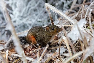 《异形：火力小队》首日补丁更新曝光 8月24日推出